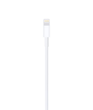 Lightning to USB Cable (0.5 m)