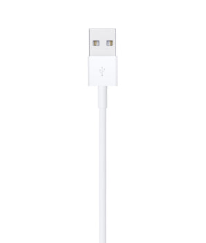 Lightning to USB Cable (0.5 m)