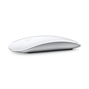 Magic Mouse-Multi-Touch Surface